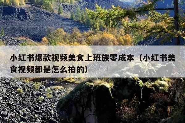 小红书爆款视频美食上班族零成本(小红书美食视频都是怎么拍的)