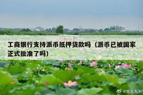 工商银行支持派币抵押贷款吗(派币已被国家正式批准了吗)