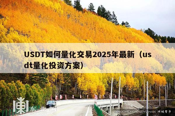 USDT如何量化交易2025年最新(usdt量化投资方案)
