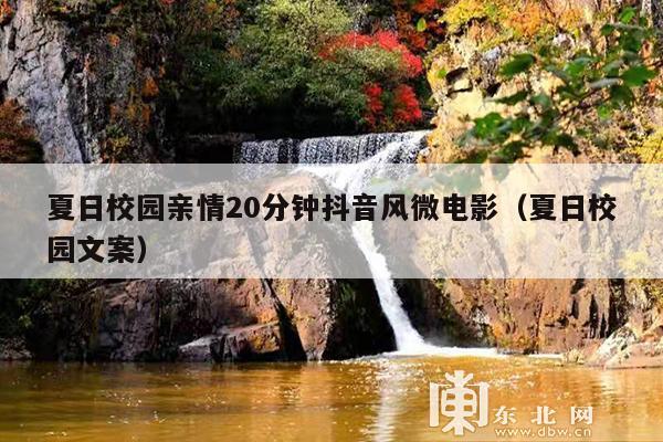 夏日校园亲情20分钟抖音风微电影(夏日校园文案)