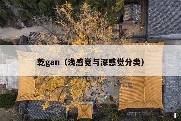 乾gan(浅感觉与深感觉分类)