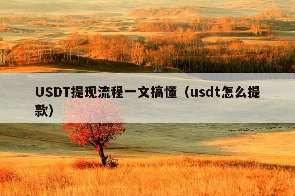 USDT提现流程一文搞懂(usdt怎么提款)