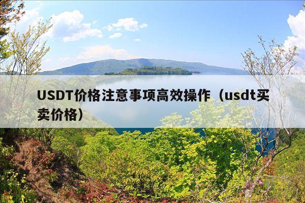 USDT价格注意事项高效操作(usdt买卖价格)