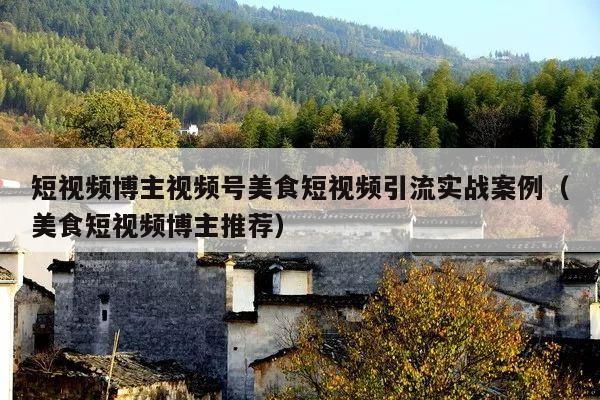 短视频博主视频号美食短视频引流实战案例(美食短视频博主推荐)
