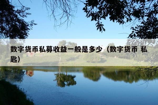 数字货币私募收益一般是多少(数字货币 私匙)