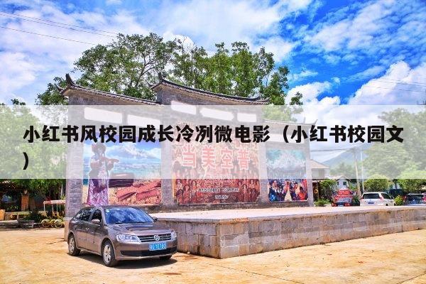 小红书风校园成长冷冽微电影(小红书校园文)