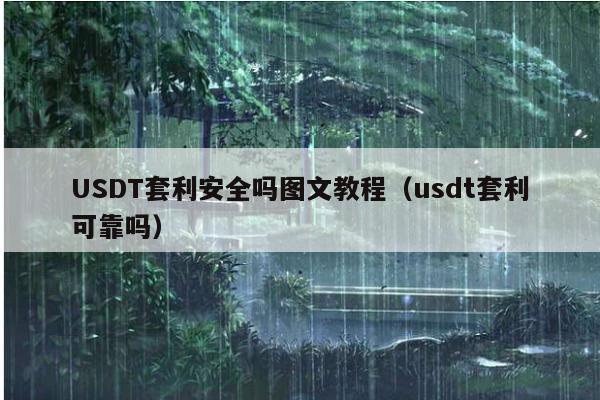 USDT套利安全吗图文教程(usdt套利可靠吗)