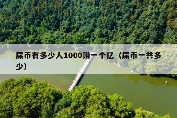 屎币有多少人1000赚一个亿(屎币一共多少)