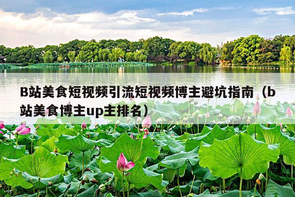 B站美食短视频引流短视频博主避坑指南(b站美食博主up主排名)