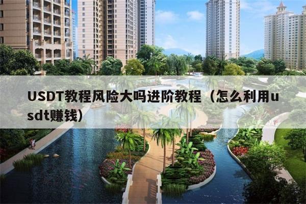 USDT教程风险大吗进阶教程(怎么利用usdt赚钱)