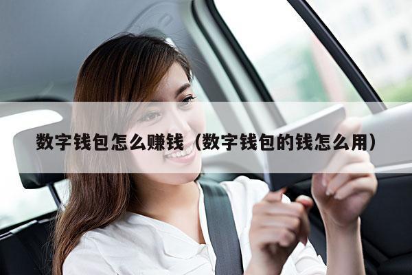 数字钱包怎么赚钱(数字钱包的钱怎么用)