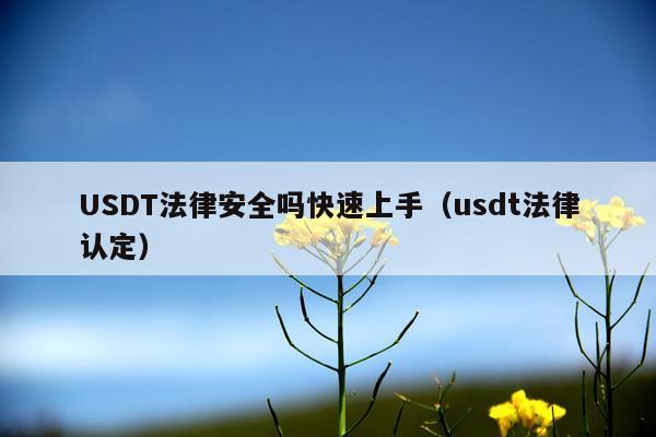 USDT法律安全吗快速上手(usdt法律认定)