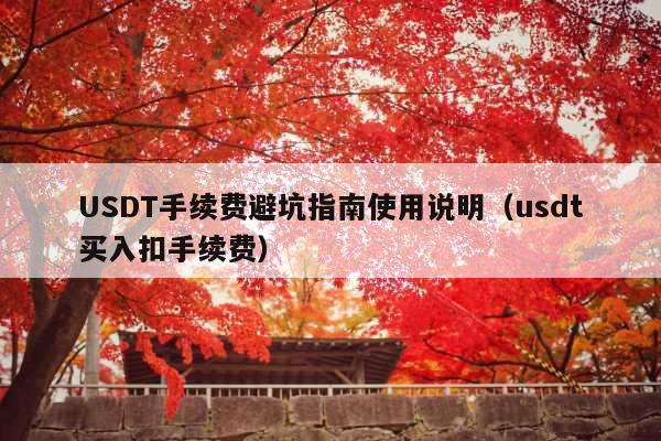 USDT手续费避坑指南使用说明(usdt买入扣手续费)