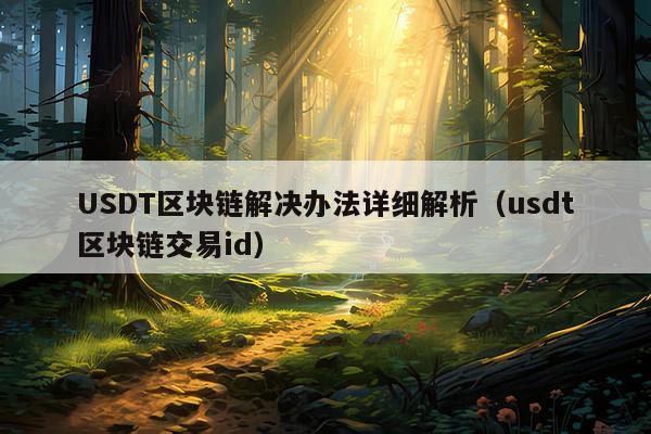 USDT区块链解决办法详细解析(usdt区块链交易id)