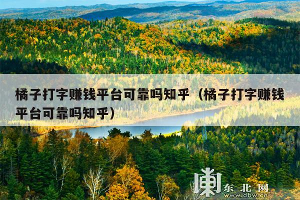 橘子打字赚钱平台可靠吗知乎(橘子打字赚钱平台可靠吗知乎)