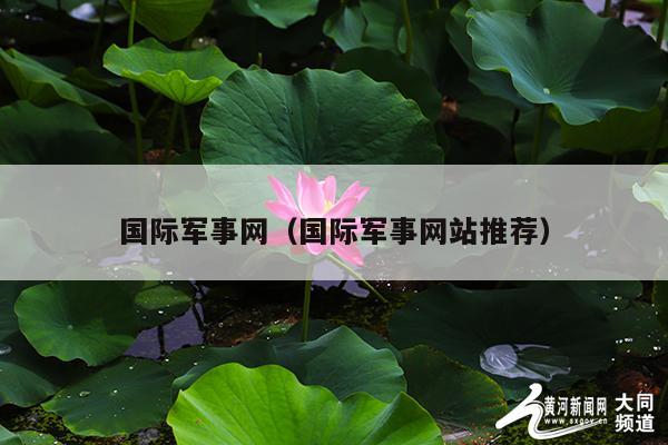 国际军事网(国际军事网站推荐)