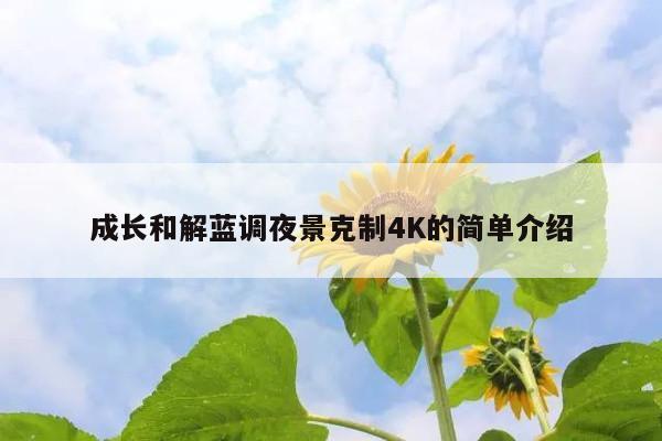 成长和解蓝调夜景克制4K的简单介绍