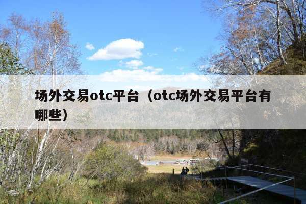 场外交易otc平台(otc场外交易平台有哪些)