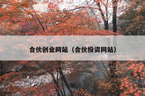合伙创业网站(合伙投资网站)