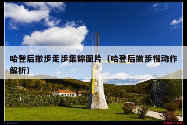 哈登后撤步走步集锦图片(哈登后撤步慢动作解析)