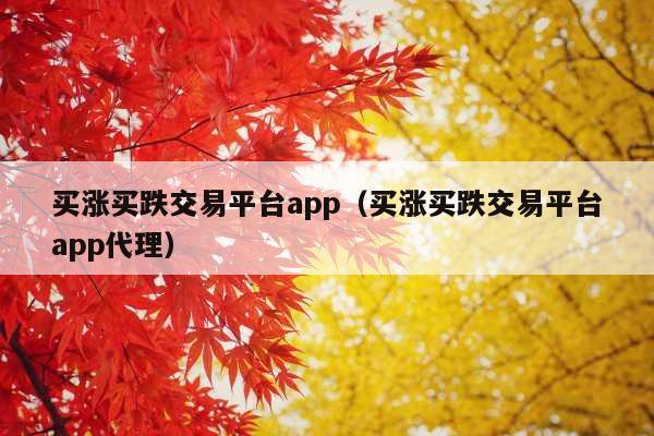 买涨买跌交易平台app(买涨买跌交易平台app代理)