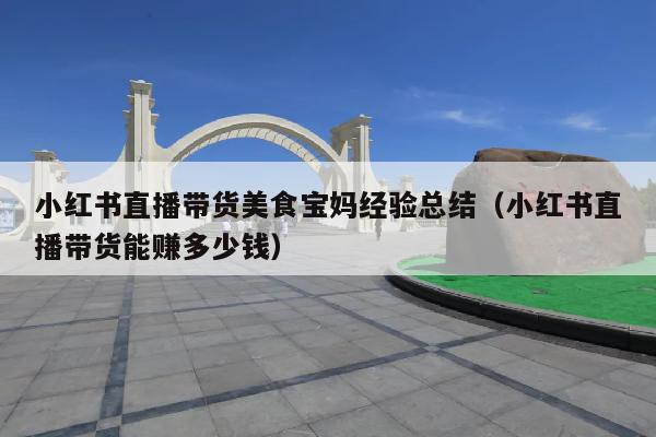 小红书直播带货美食宝妈经验总结(小红书直播带货能赚多少钱)