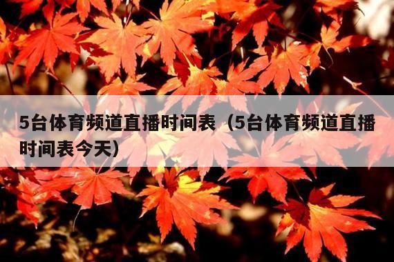 5台体育频道直播时间表(5台体育频道直播时间表今天)