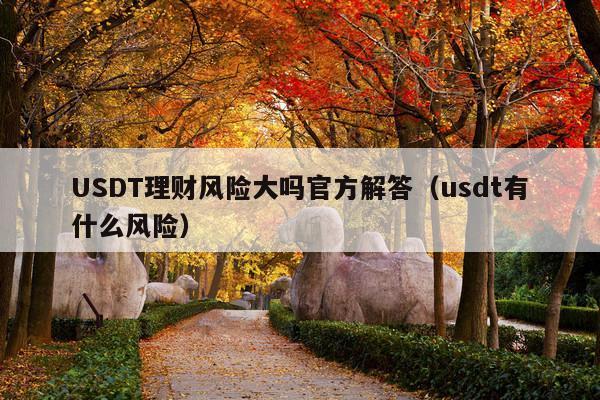 USDT理财风险大吗官方解答(usdt有什么风险)
