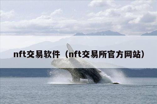 nft交易软件(nft交易所官方网站)