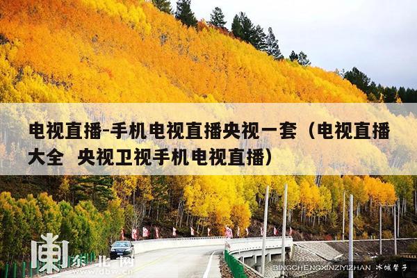 电视直播-手机电视直播央视一套(电视直播大全  央视卫视手机电视直播)