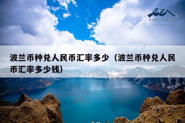 波兰币种兑人民币汇率多少(波兰币种兑人民币汇率多少钱)