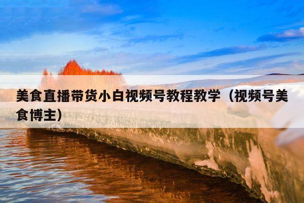 美食直播带货小白视频号教程教学(视频号美食博主)