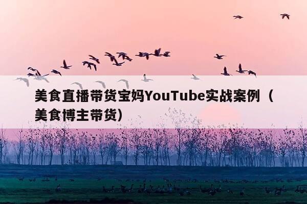 美食直播带货宝妈YouTube实战案例(美食博主带货)