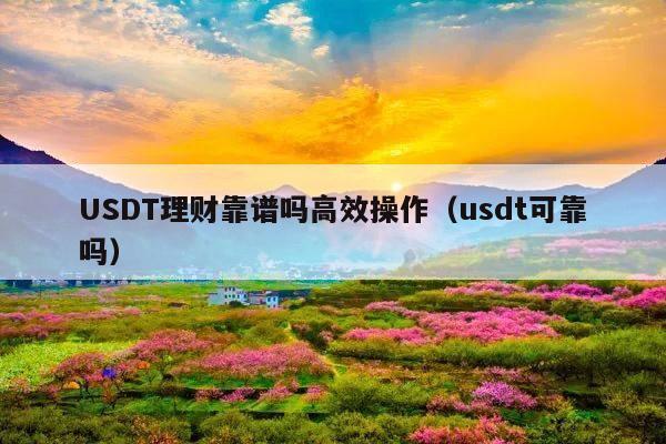 USDT理财靠谱吗高效操作(usdt可靠吗)