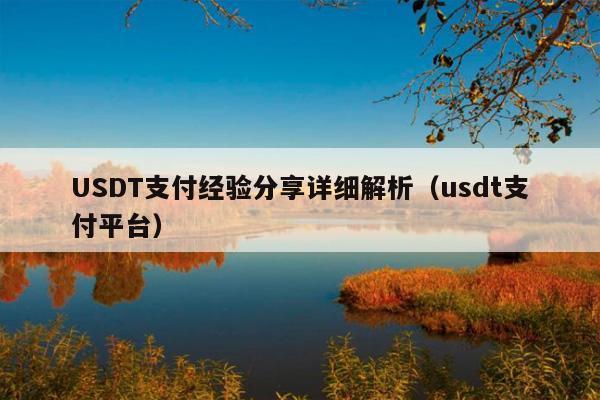 USDT支付经验分享详细解析(usdt支付平台)