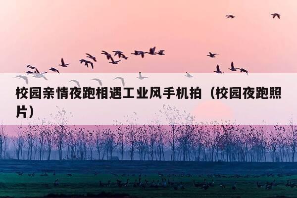 校园亲情夜跑相遇工业风手机拍(校园夜跑照片)