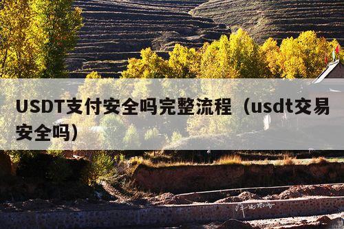 USDT支付安全吗完整流程(usdt交易安全吗)