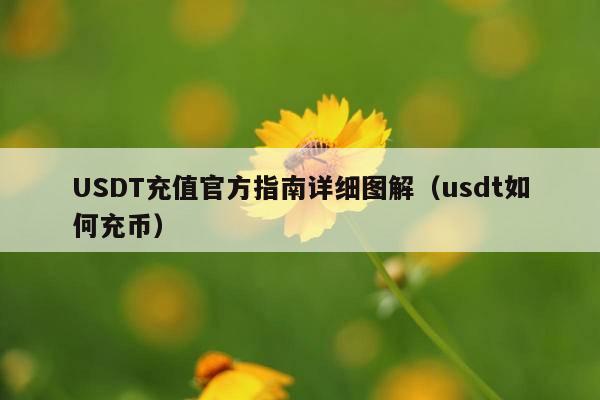 USDT充值官方指南详细图解(usdt如何充币)