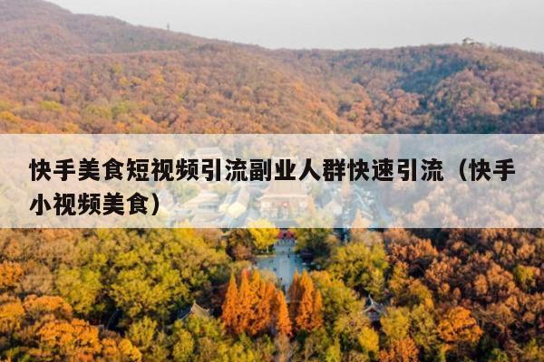 快手美食短视频引流副业人群快速引流(快手小视频美食)
