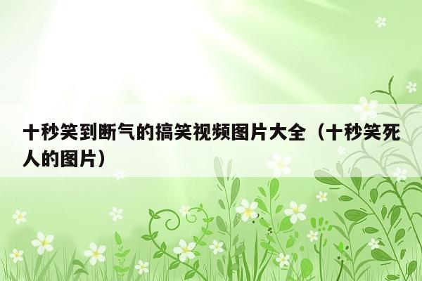 十秒笑到断气的搞笑视频图片大全(十秒笑死人的图片)