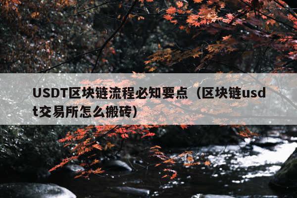 USDT区块链流程必知要点(区块链usdt交易所怎么搬砖)