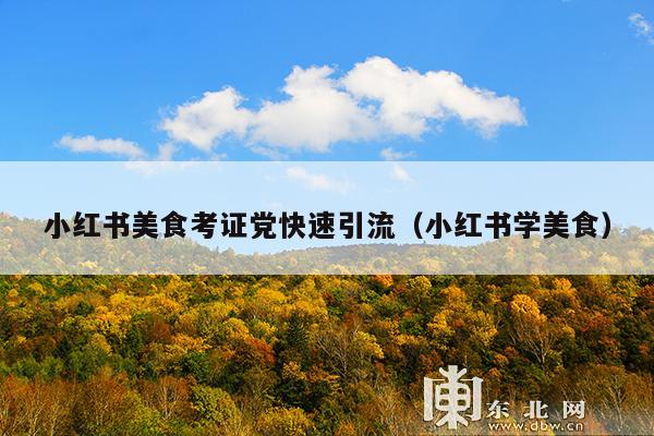 小红书美食考证党快速引流(小红书学美食)