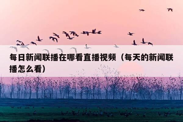 每日新闻联播在哪看直播视频(每天的新闻联播怎么看)