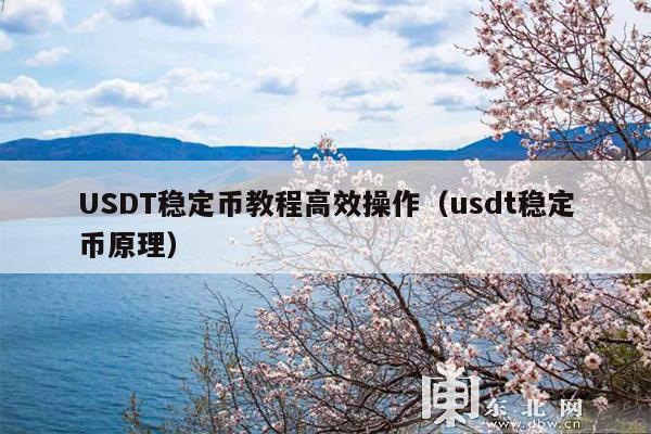 USDT稳定币教程高效操作(usdt稳定币原理)