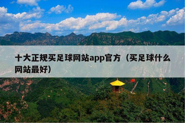 十大正规买足球网站app官方(买足球什么网站最好)
