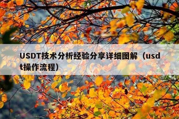 USDT技术分析经验分享详细图解(usdt操作流程)