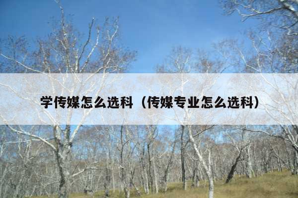 学传媒怎么选科(传媒专业怎么选科)