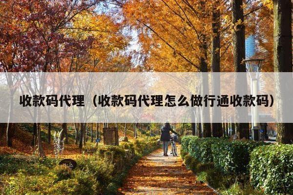 收款码代理(收款码代理怎么做行通收款码)