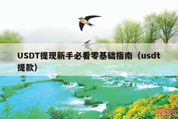 USDT提现新手必看零基础指南(usdt提款)