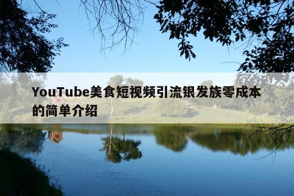YouTube美食短视频引流银发族零成本的简单介绍
